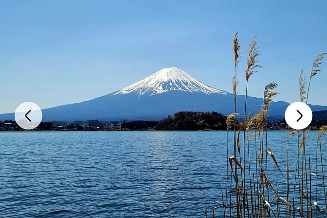 Mt. Fuji, Hakone Full-Day Private Tour With English Driver Guide - Efficient Time Management Tips
