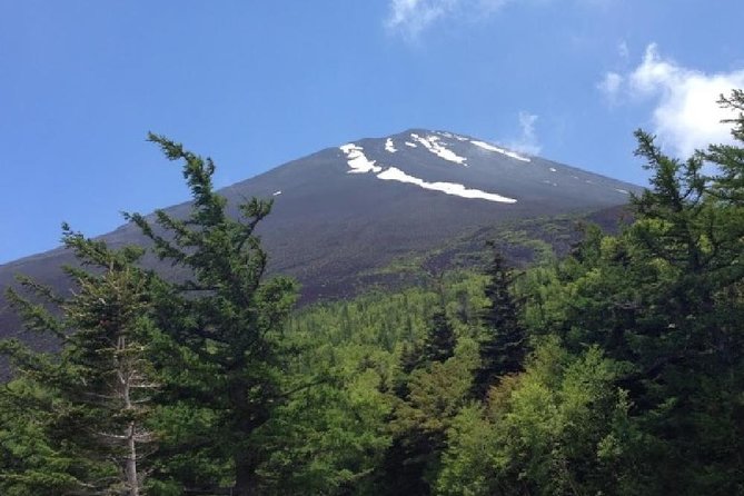 Mt Fuji, Hakone, Lake Ashi Cruise 1 Day Bus Trip From Tokyo - Sum Up