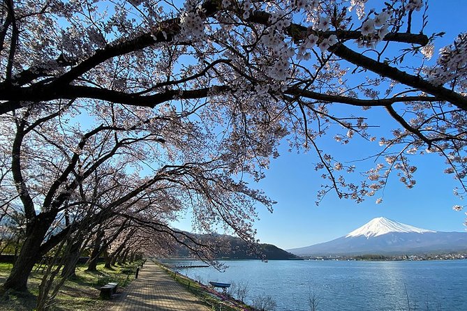 Mt Fuji Lakeshores Full-Day Bike Tour - Sum Up