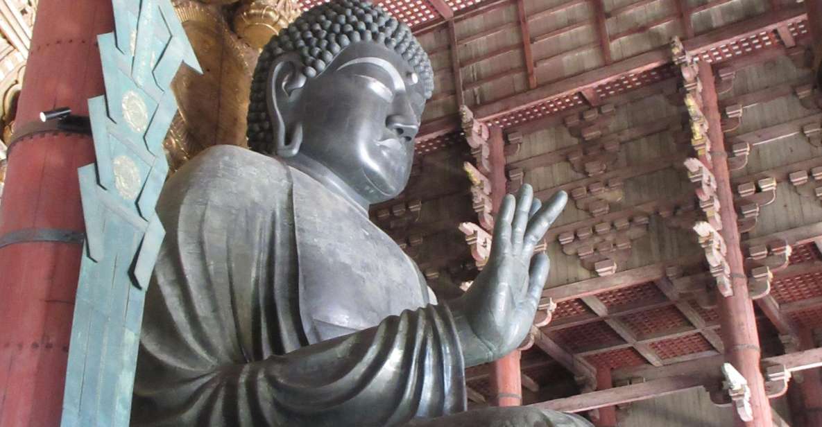 Nara: Giant Buddha, Free Deer in the Park (Italian Guide) - Additional Tips for Nara Tour