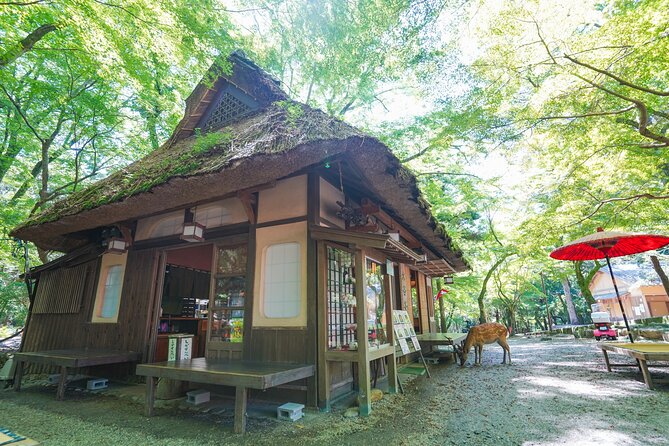 Nara Half Day Trip Walking Tour - Viator Support and Assistance