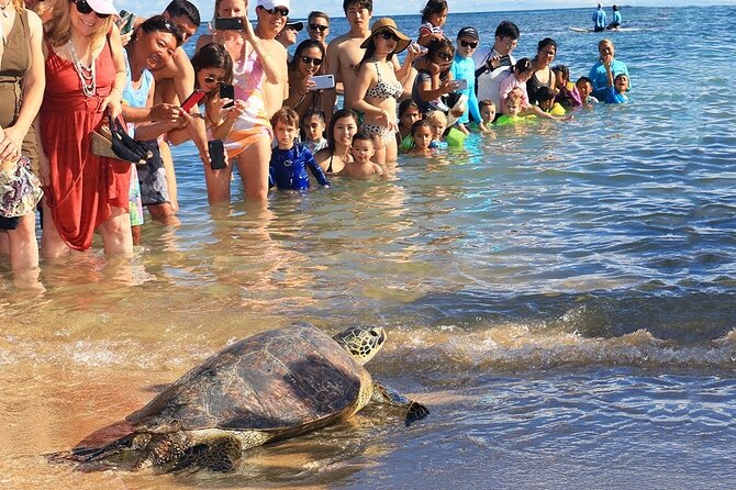 Oahu Circle Island Tours - Sum Up