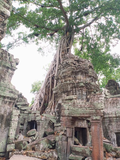 One Day Angkor Wat Trip With Sunset on Bakheng Hill - Guidance and Information