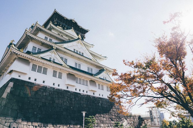 Osaka Private Tour: From Historic Tenma To Dōtonbori's Pop Culture - 8 Hours - Tour Details