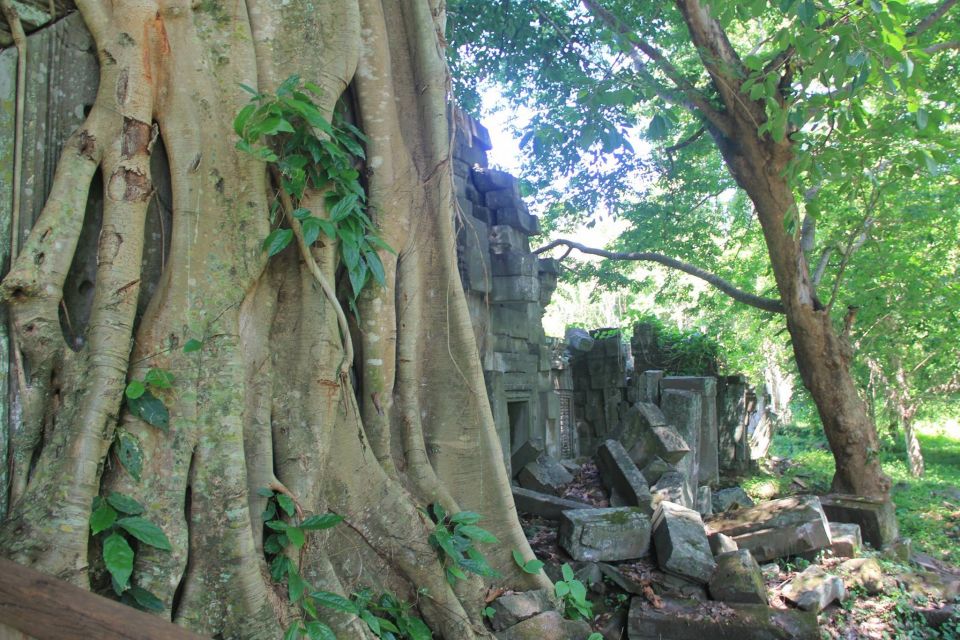 Preah Khan Kampong Svay, Sambor Prei Kuk Private Guided Tour - Last Words