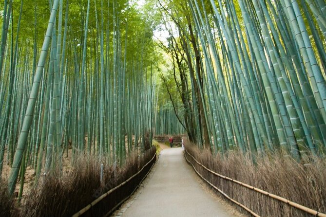 Private Arashiyama Walking Tour: Bamboo, Monkeys & Secrets - Reviews and Ratings