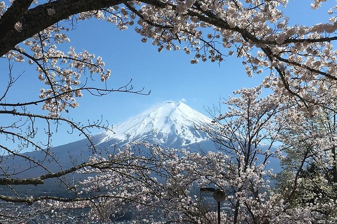 Private Car Tour to Mt. Fuji Lake Kawaguchiko or Hakone Lake Ashi - Sum Up