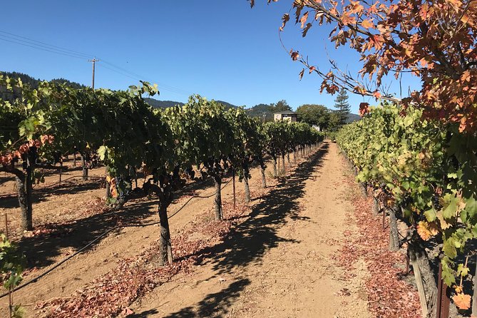 Small-Group Wine Country Tour From San Francisco With Tastings - Common questions