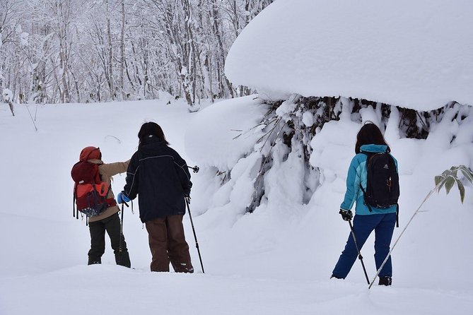 Snowshoe Hike Tour From Sapporo - Sum Up