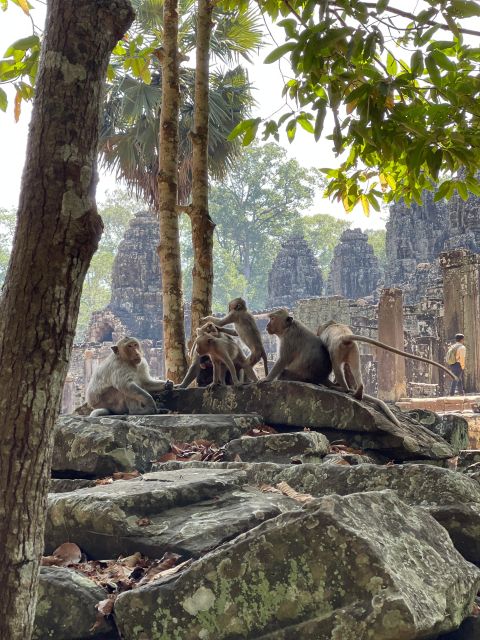 Sunrise in Angkor and Banteay Srei Private Tour - Pickup Information