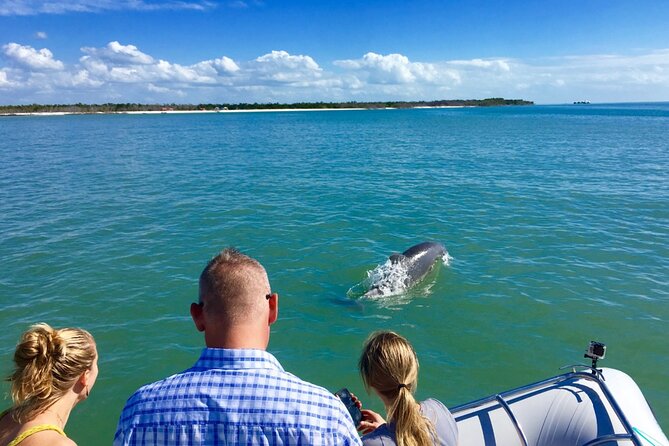 Ten Thousand Islands Boat Tour up to 12 People - Tour Pricing and Information