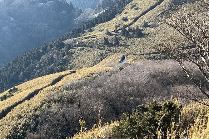 Traverse Outer Rim of Hakone Caldera and Enjoy Onsen Hiking Tour - Sum Up