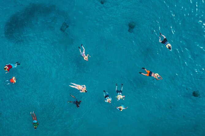 Turtle Snorkeling Adventure in Waikiki (Boat Tour) - Directions