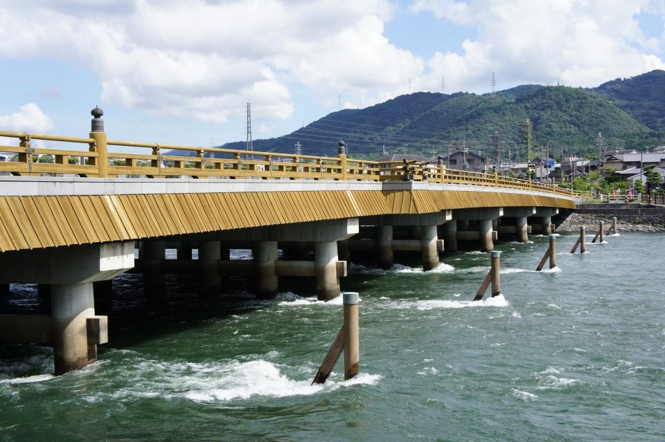 Uji: Green Tea Tour With Byodoin and Koshoji Temple Visits - Visitor Recommendations