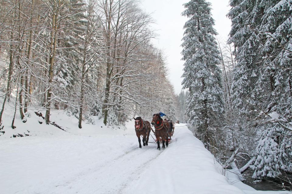 Zakopane: Horse-Drawn Rides With Local Guide & Food Tasting - Hassle-Free Logistics & Transportation