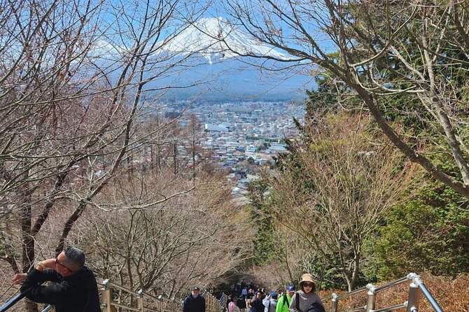 1 Day Private Tour of Hakone With English Driver - Contact Information