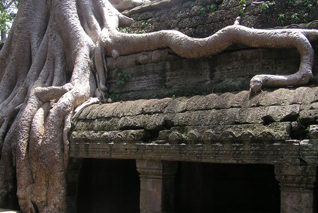 2 Days Angkor Wat, Bayon, Ta Promh & Koh Ker Group Tour - Common questions