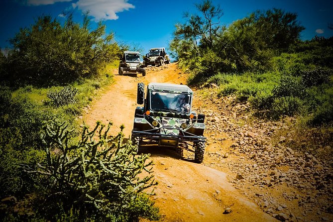 3 Hour Guided TomCar ATV Tour in Sonoran Desert - Experience Highlights
