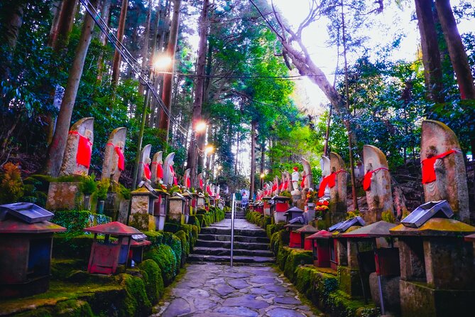 Hidden Gems of Osaka Kyoto Nara - Private Car Tour by Local Guide - Sum Up