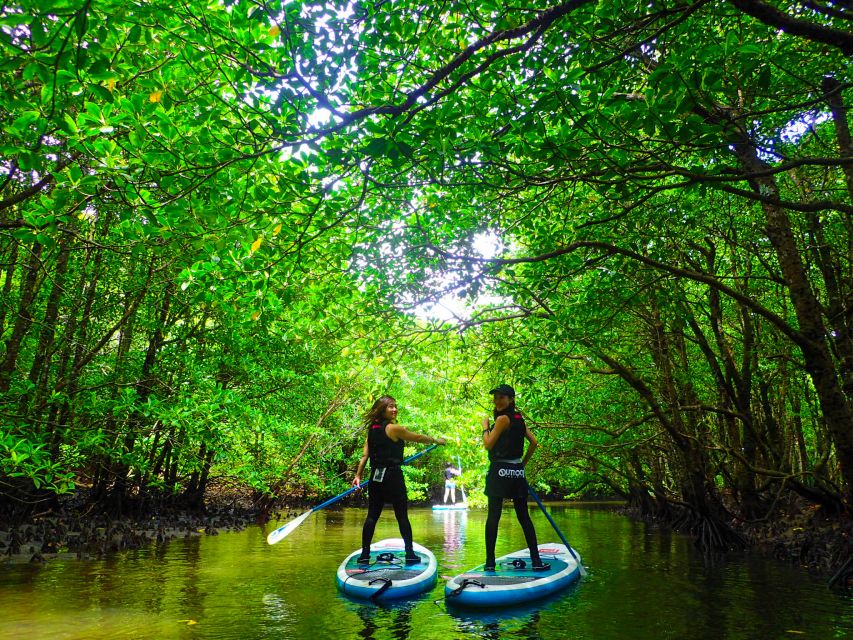 Iriomote Island: Kayaking and Canyoning Tour - Common questions