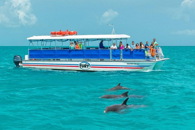 Key West Dolphin Watch and Snorkel Cruise - Booking Information