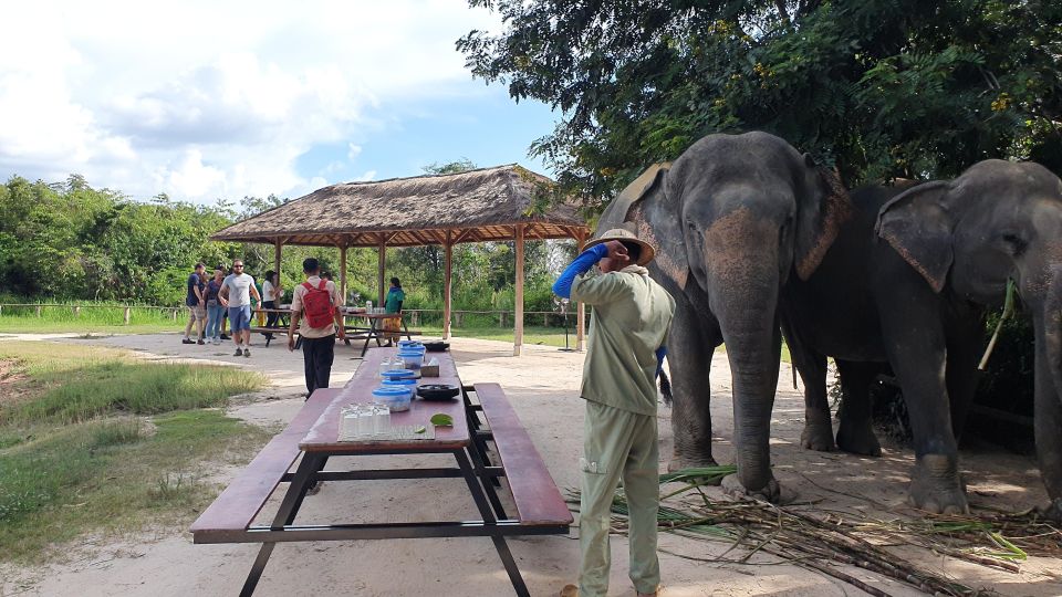 Kulen Elephant Forest & Tonlesap Lake - Visit to Kompong Phluk Village