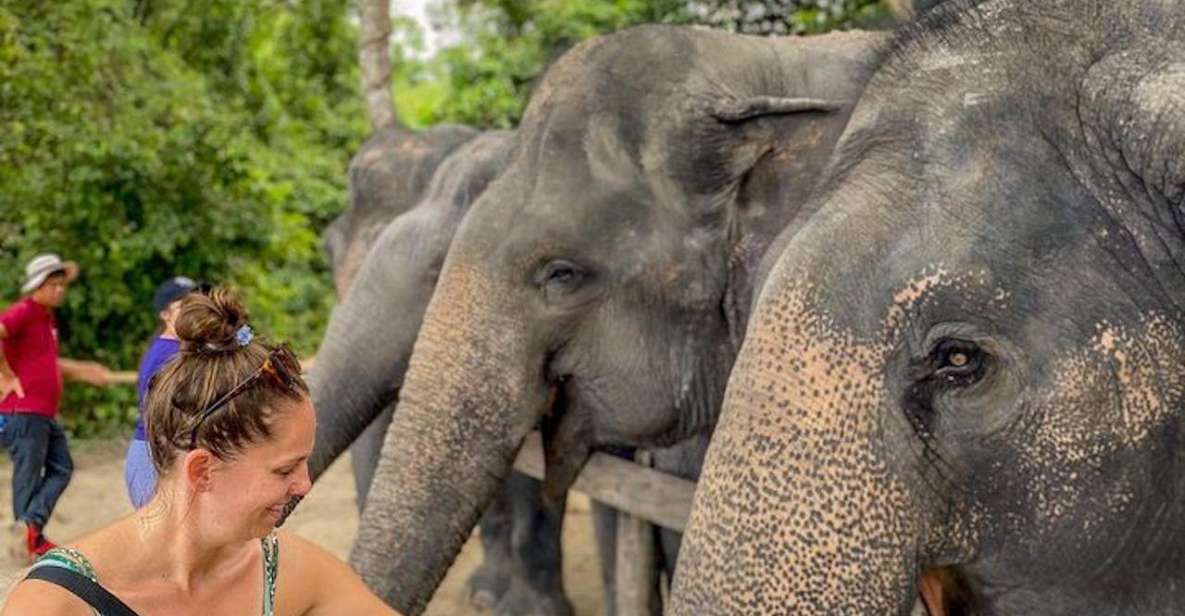 Kulen Elephant Siem Reap Forest in Small Group Tour - Last Words