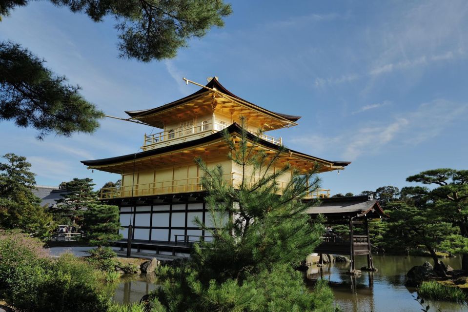 Kyoto: Early Morning Tour With English-Speaking Guide - Public Transport and Payment Options