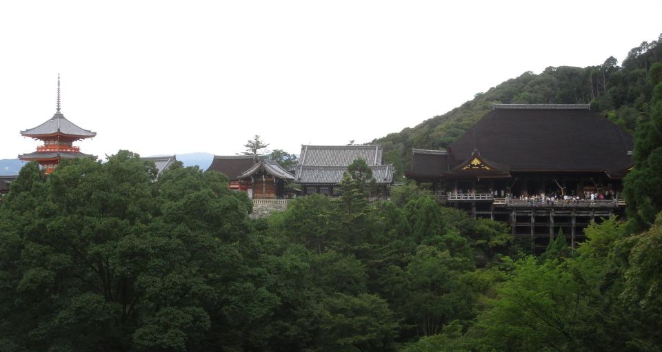 Kyoto-Nara: Great Buddha, Deer, Pagoda, 'Geisha' (Italian) - Sum Up