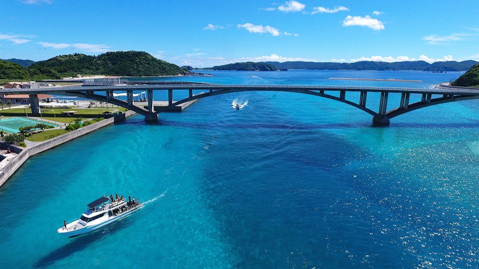 Naha, Okinawa: Kerama Islands Half-Day Whale Watching Tour - Common questions