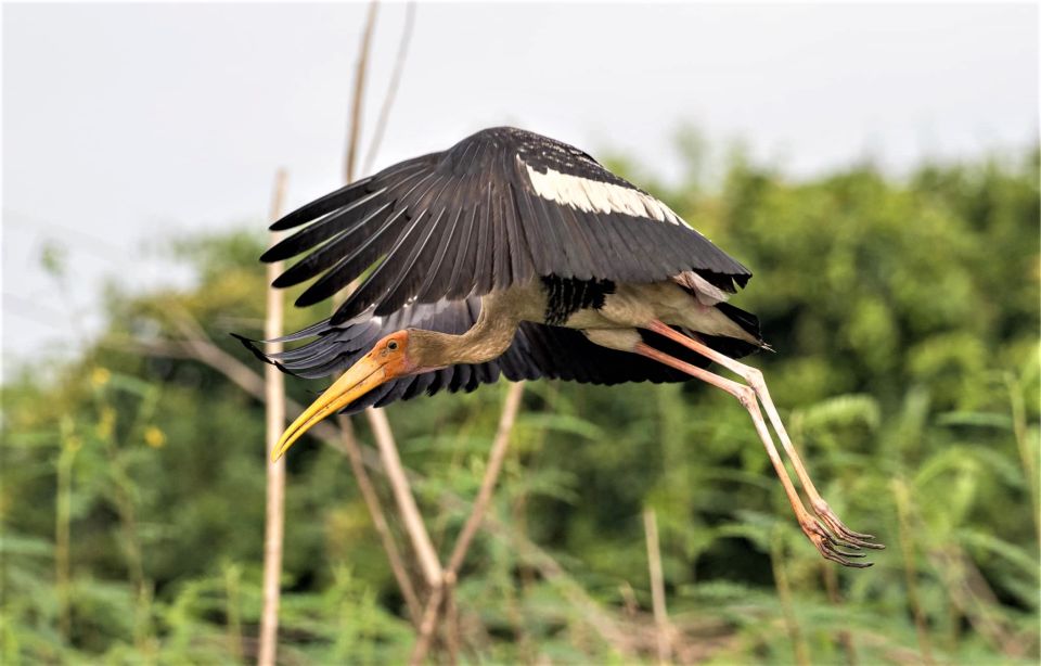 Prek Toal Birds Sanctuary & Floating Village Private Tour - Common questions