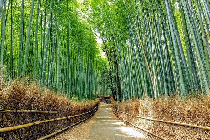 Private Arashiyama Walking Tour: Bamboo, Monkeys & Secrets - Common questions