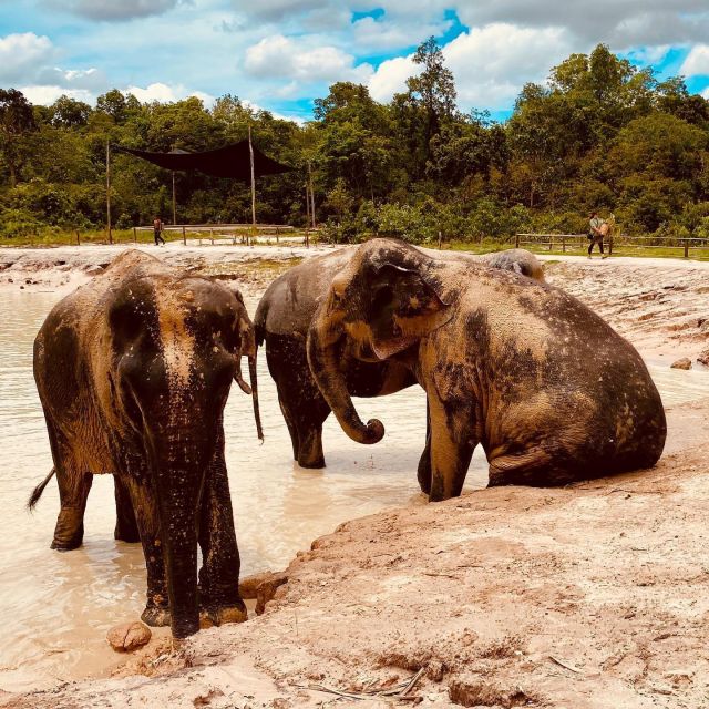 Siem Reap: Kulen Elephant Forest & Tonlesap Lake - Trip Benefits