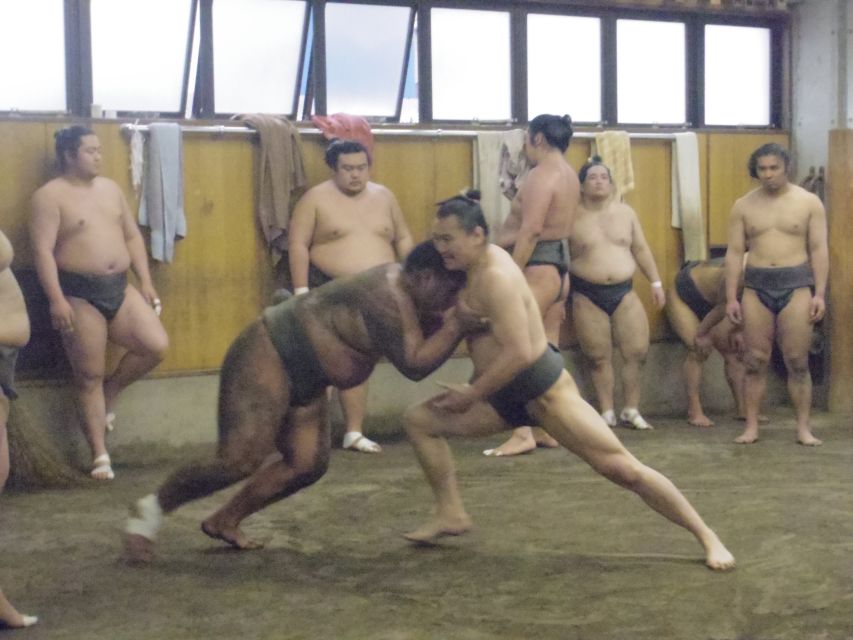 Tokyo: Sumo Morning Practice Viewing Tour - Common questions