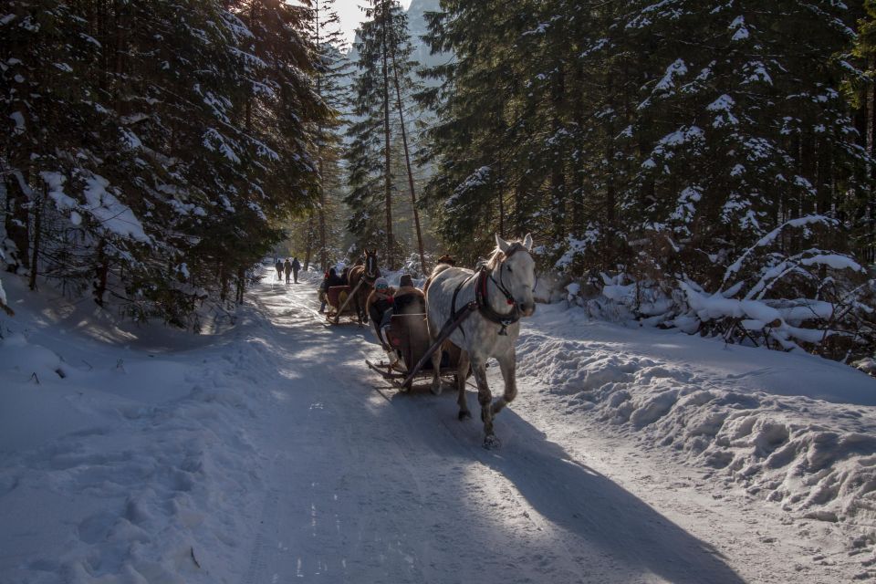 Zakopane: Horse-Drawn Rides With Local Guide & Food Tasting - Last Words