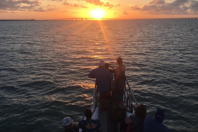 90-Minute Dolphin Watch Tour of South Padre Island - Key Points