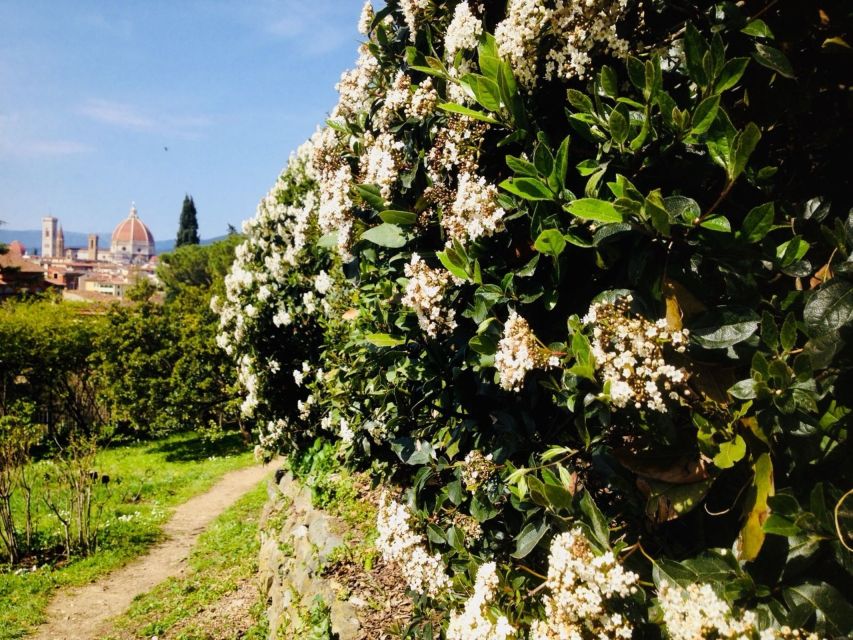 Florence: Private Brunelleschi's Dome and City Walking Tour - Last Words