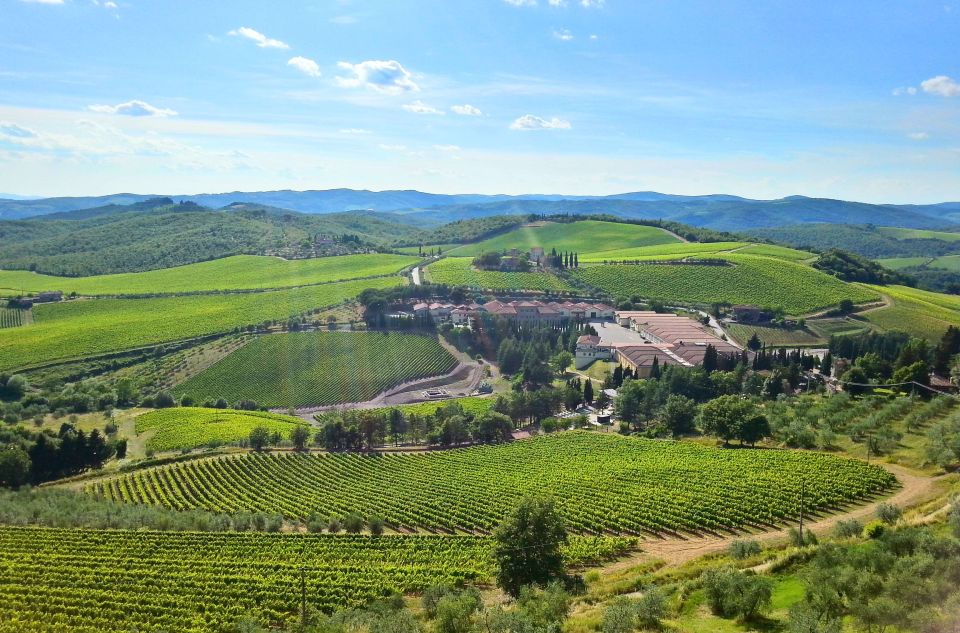 From Florence: Private Half-Day Chianti Tour & Wine Tasting - Last Words