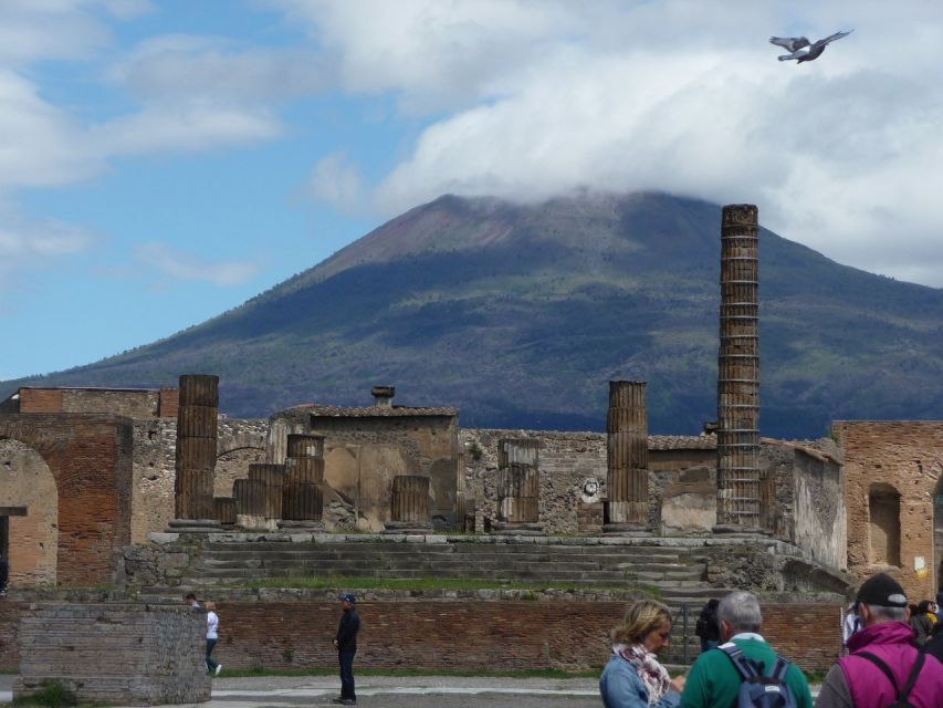 Naples: Pompeii & Wine Tasting Private Day Tour Small Group - Common questions