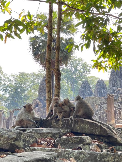 Siem Reap: Angkor Wat Private Full Day Tour - Last Words