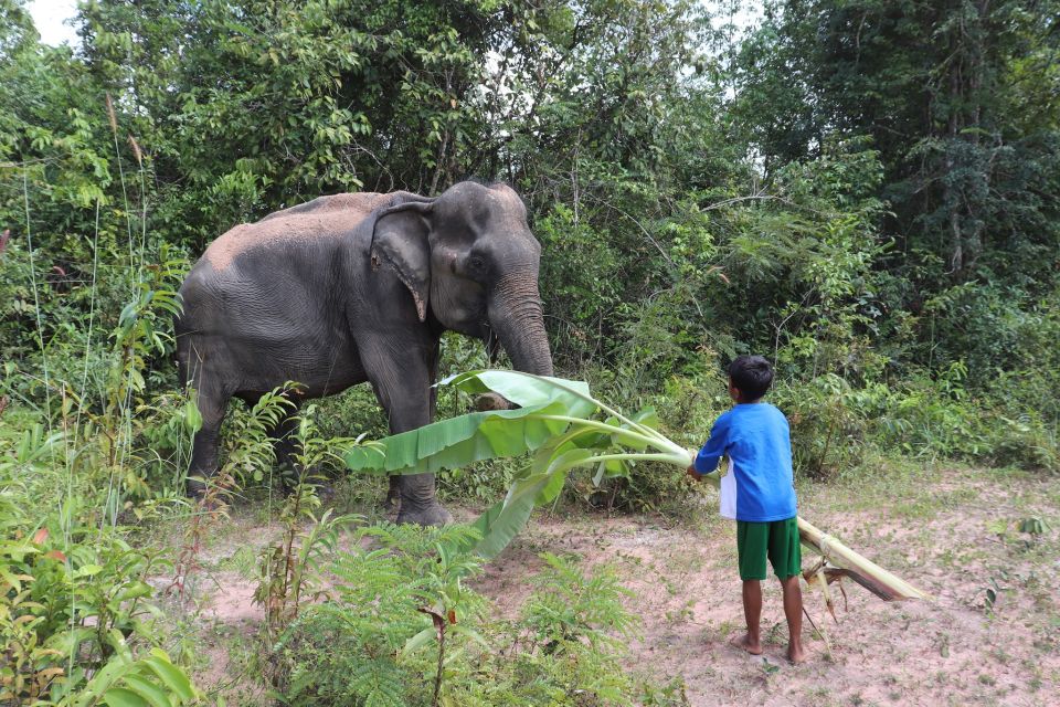Siem Reap: Kulen Elephant Forest & Tonlesap Lake - Common questions