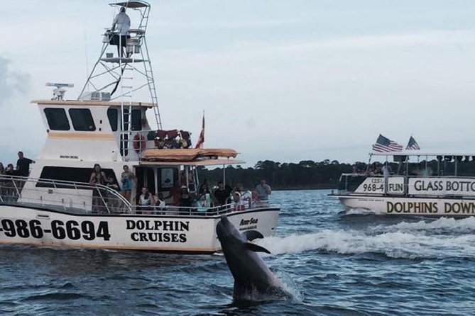 Alabama Gulf Coast Dolphin Cruise - Key Points