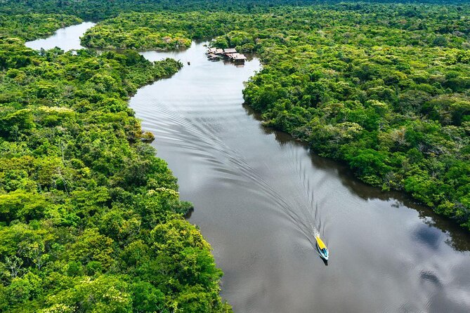 Amazon Rainforest Adventure: Survive in the Rainforest  - Manaus - Just The Basics