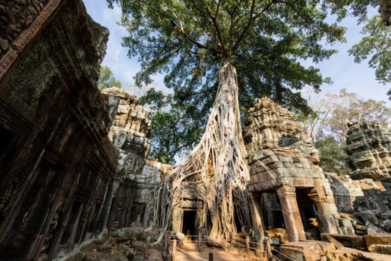 Angkor Explorer With Tuktuk & Private Guide