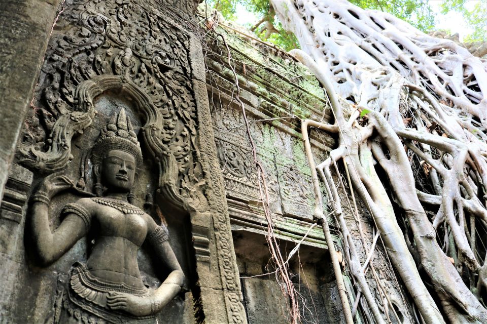 Angkor Wat, Angkor Thom and Bayon Temple: Private Day Tour - Just The Basics