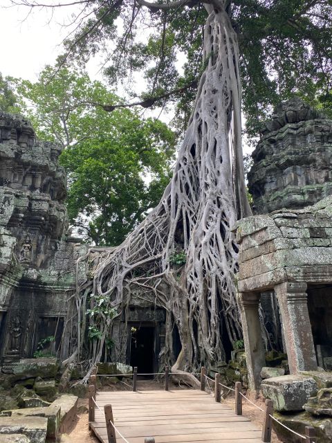 Angkor Wat Sunrise & Other Main Temples 2-Day Private Tour - Just The Basics