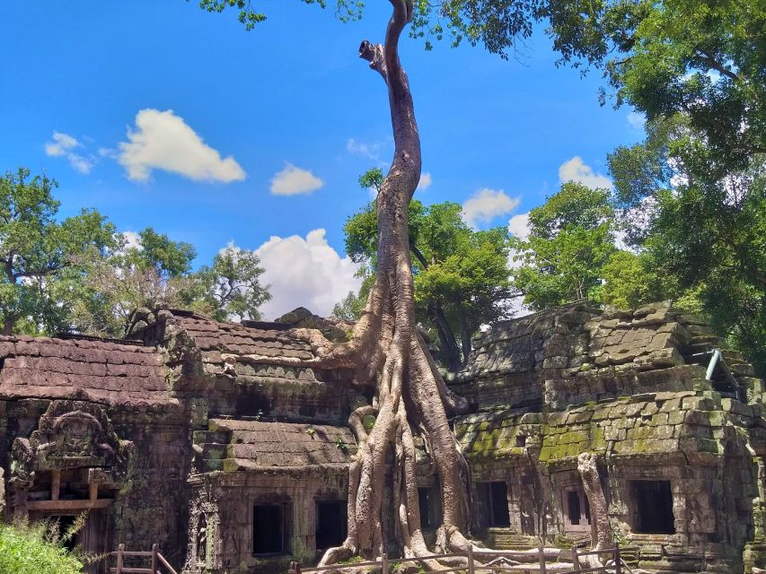 Angkor Wat Sunrise, Ta Promh, Banteay Srei, Bayon Day Tour - Just The Basics