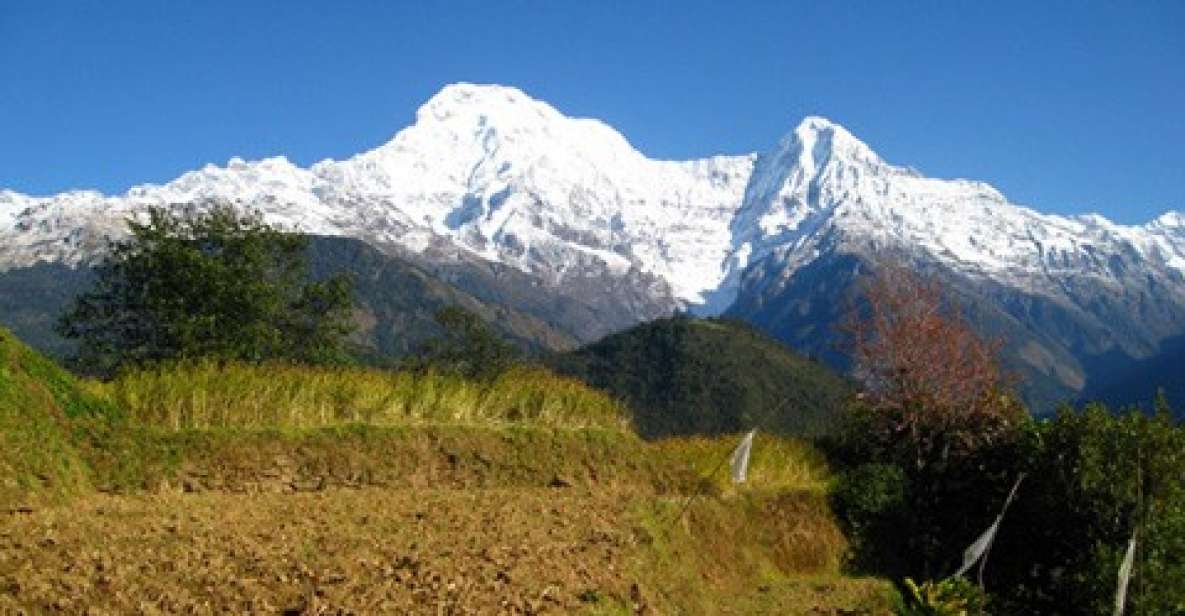 Annapurna - 4 Days Poon Hill Trek From Pokhara. - Just The Basics