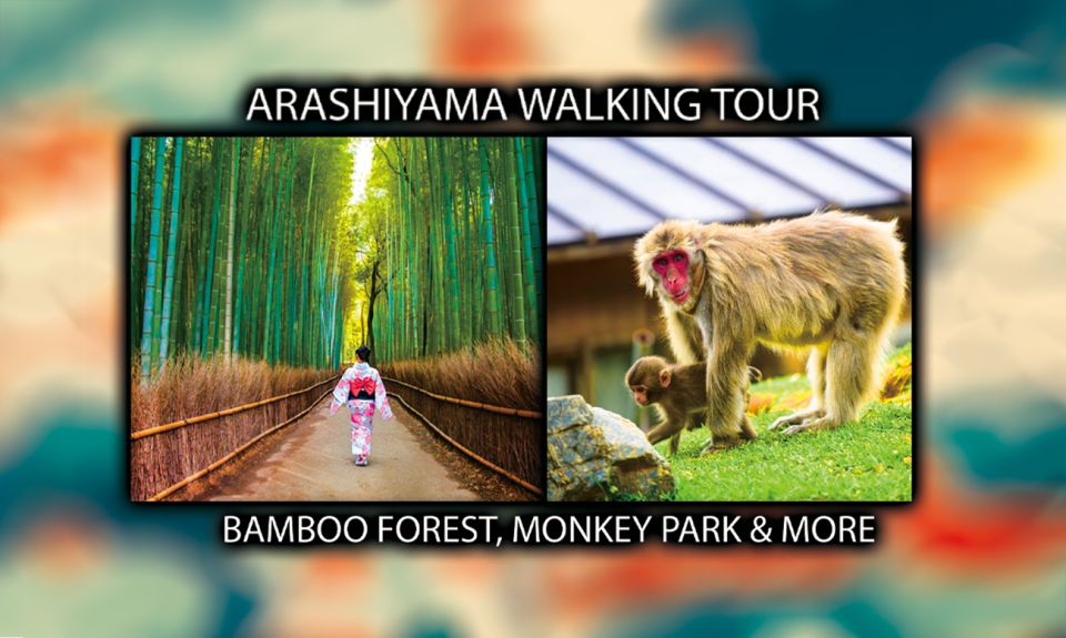 Arashiyama Kyoto: Bamboo Forest, Monkey Park & Secrets - Key Points
