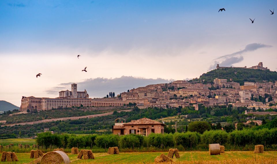 Assisi: 2-Hour Walking Tour - Just The Basics